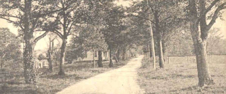 Cherry Lane circa 1902
