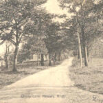 Cherry Lane circa 1902